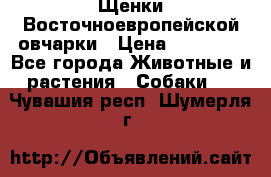 Щенки Восточноевропейской овчарки › Цена ­ 25 000 - Все города Животные и растения » Собаки   . Чувашия респ.,Шумерля г.